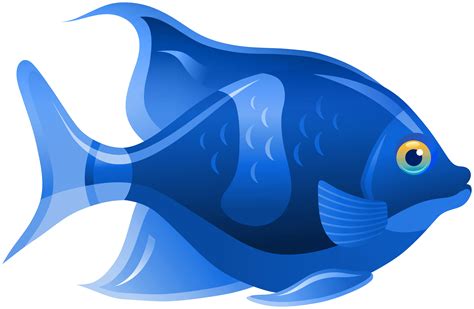 fish clipart transparent|More.